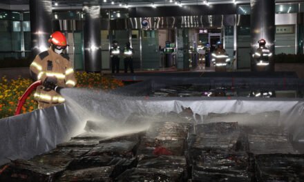 Sunucu odasında batarya patladı ve devlete ait veriler yok oldu! Üstelik yedekleme yok!
